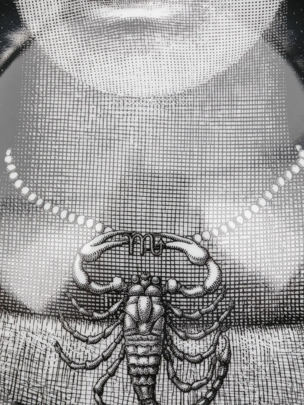 Fornasetti Tema E Variazioni N.355 Scorpio Wall Plate (26cm) In Black