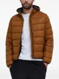 Champion logo-print hooded padded jacket - Brown