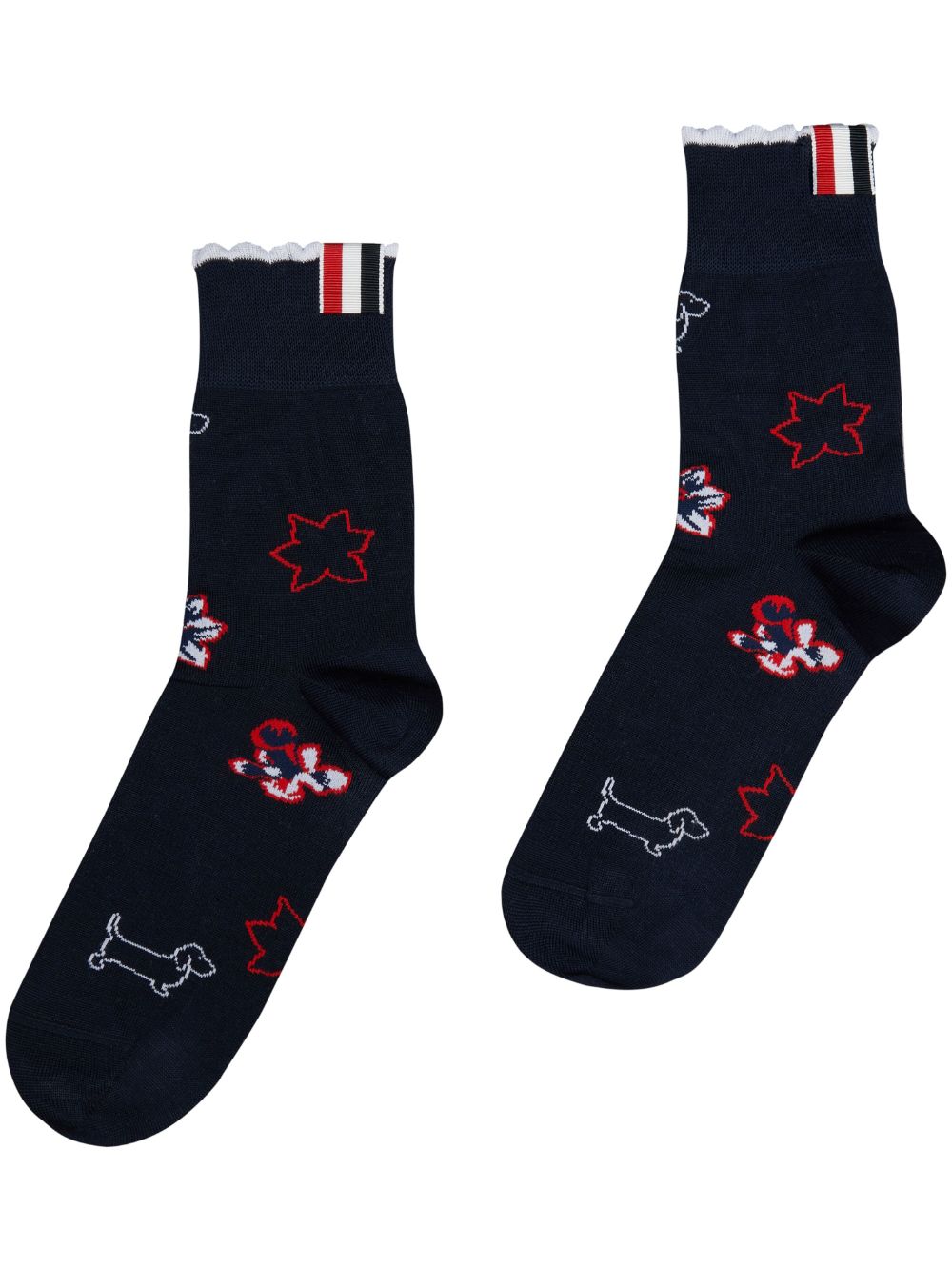 Hector-motif socks