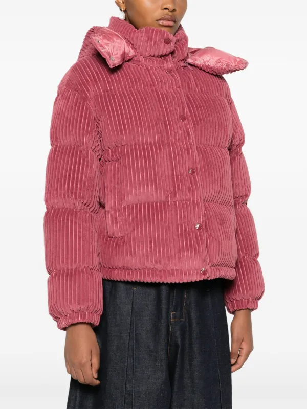 Moncler pink velvet jacket on sale