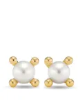 David Yurman 18kt yellow gold Renaiss pearl stud earrings (5.5mm)