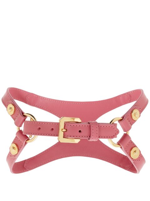 Versace Medusa-stud pet harness