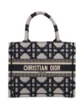 Christian Dior Pre-Owned 2020 small Book Tote bag - Blue