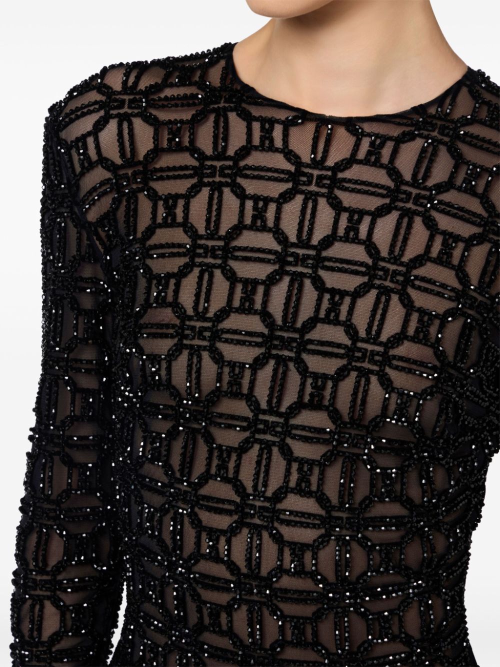 Shop Elisabetta Franchi Embroidered Tulle Dress In Black