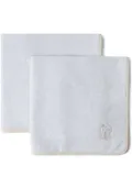 Brunello Cucinelli terry-cloth hand towels (set of two) - Grey