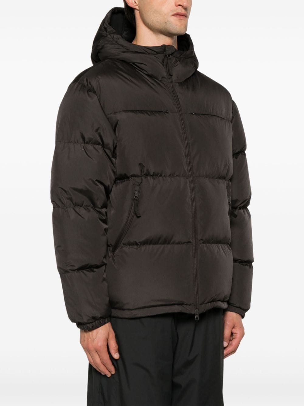 Shop Hiking Patrol Padded Jacket In Braun