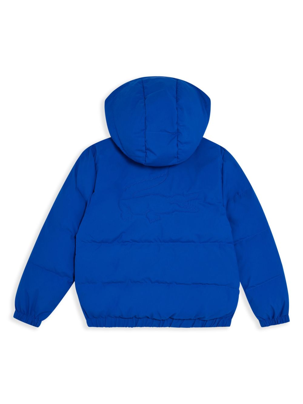 Lacoste hooded padded jacket - Blue