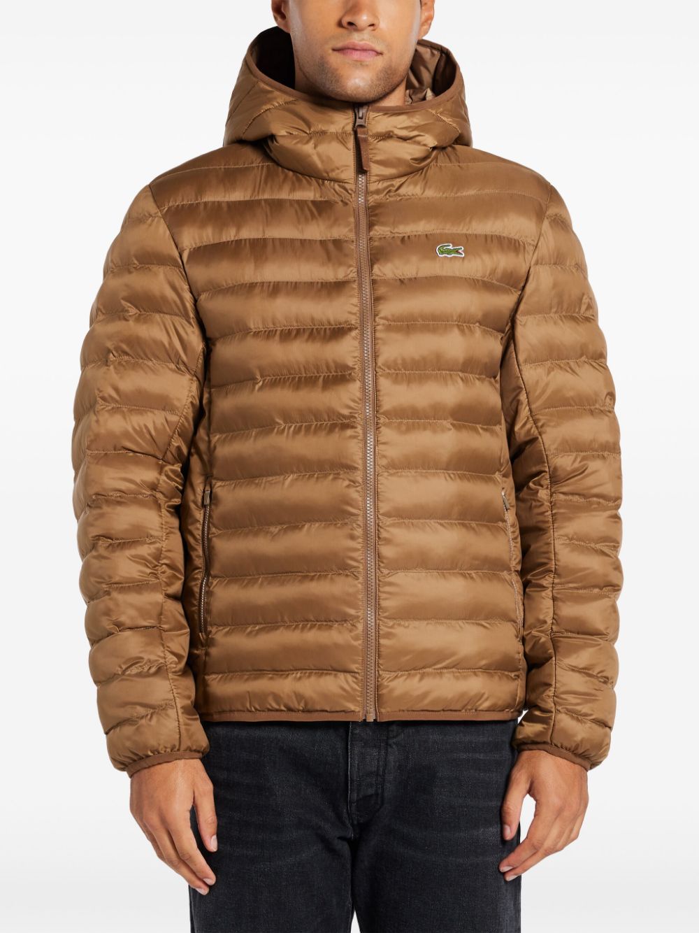 LACOSTE PADDED JACKET 