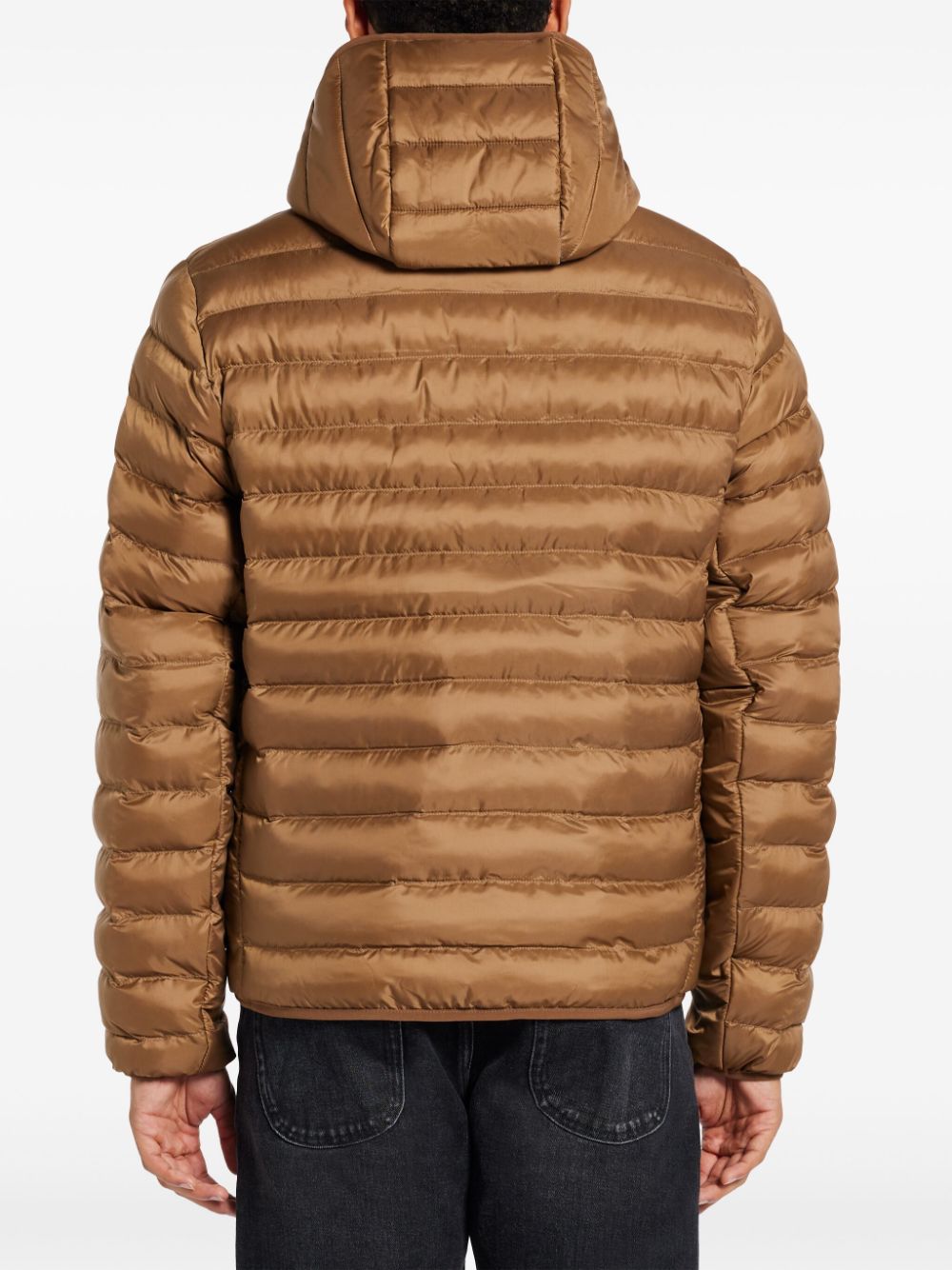 LACOSTE PADDED JACKET 