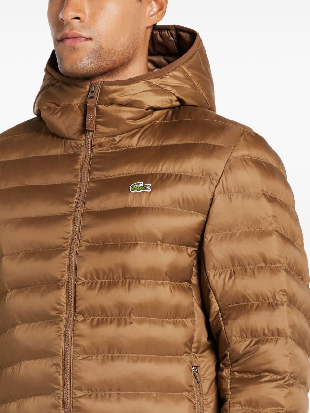 Shop Lacoste Padded Jacket In Brown