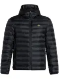 Lacoste water-repellent padded jacket - Black