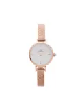 Daniel Wellington Petite Mini 19mm - White