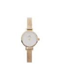 Daniel Wellington Petite Mini 19mm - White