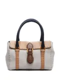 Fendi Pre-Owned mini Linda handbag - Neutrals