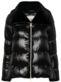 Herno faux-fur collar puffer jacket - Black