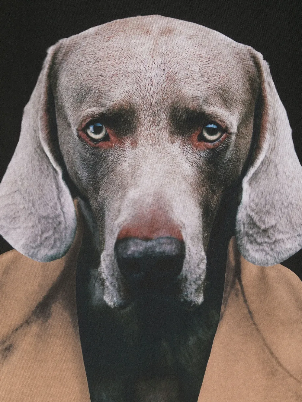 マックスマーラ　犬　置物 マックスマーラ犬置物