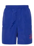 Stüssy Big Basic swim shorts - Blue