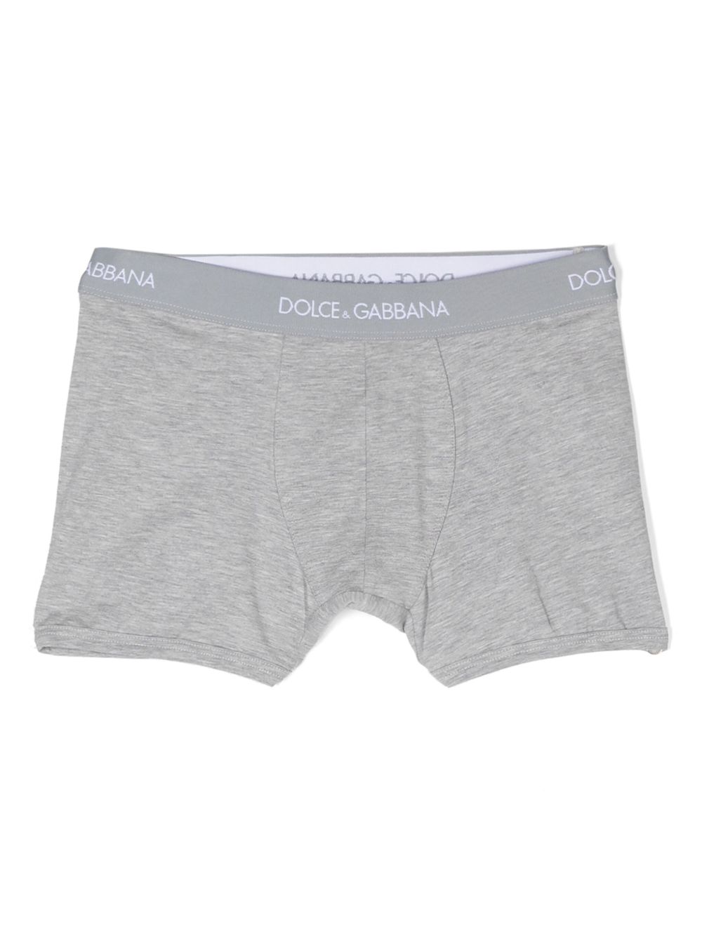 Dolce & Gabbana Kids Twee boxershorts met logoband - Grijs