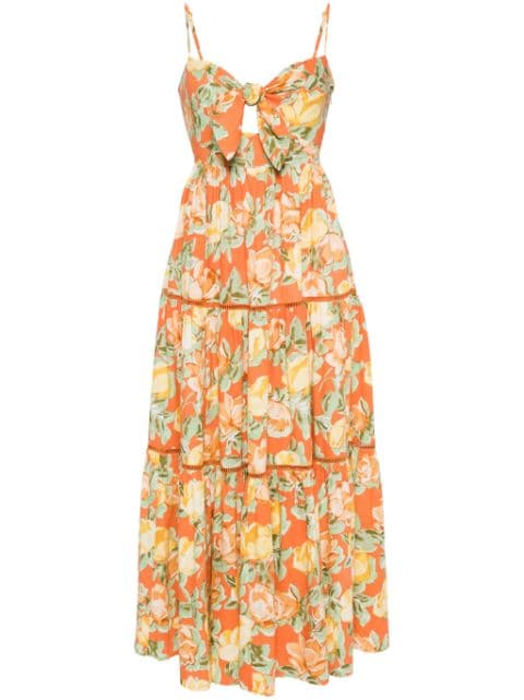 Kitri Immy maxi dress