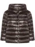 Herno funnel-neck down jacket - Grey