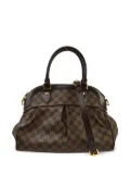 Louis Vuitton Pre-Owned 2008 Trevi PM two-way handbag - Brown