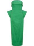 Rachel Gilbert Birdie midi dress - Green