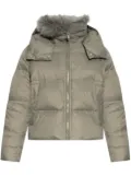 Yves Salomon shearling-collar padded jacket - Grey