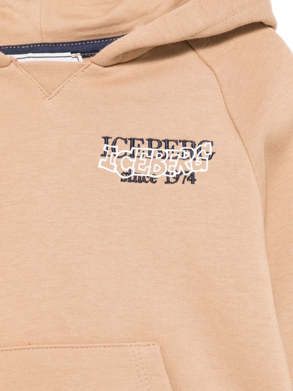 Shop Iceberg Logo-embroidered Hoodie In Brown