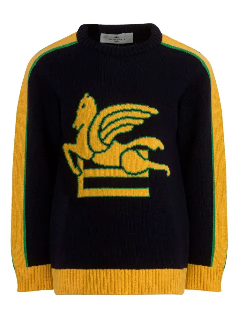 ETRO KIDS Pegaso jumper