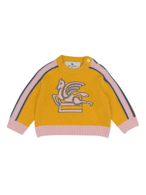 ETRO KIDS Pegaso jumper