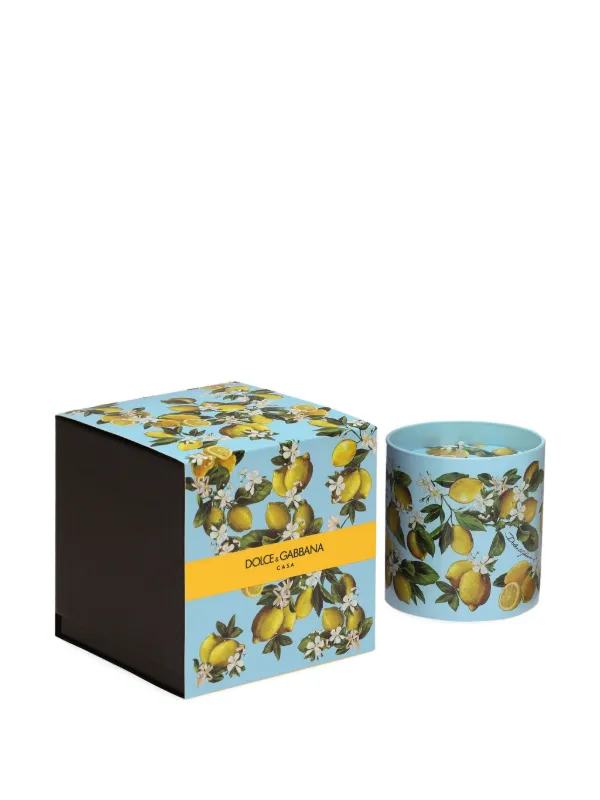 Dolce & Gabbana アロマキャンドル 中サイズ Dolce & Gabbana アロマキャンドル | ブルー | FARFETCH JP