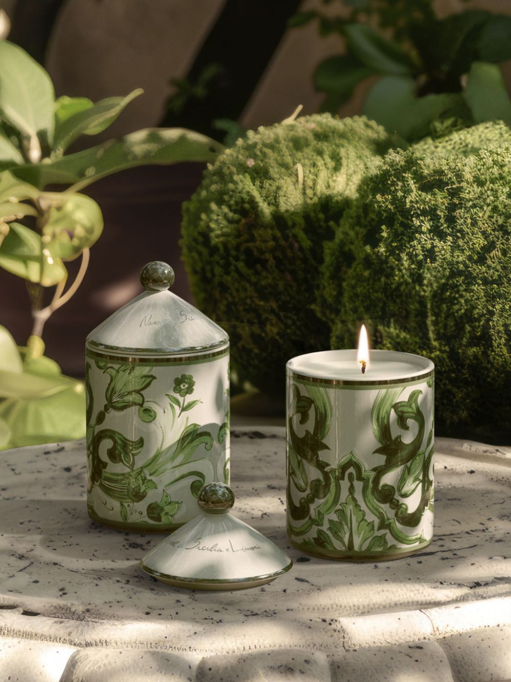 Shop Dolce & Gabbana Porcelain Scented Candle In Green