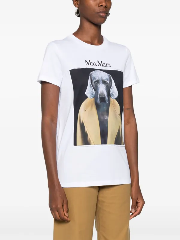 Max Mara CIPRIA ピュアコットン ジャージー Tシャツ Mサイズ