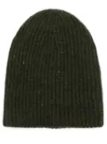 Fabiana Filippi sequin ribbed beanie - Green