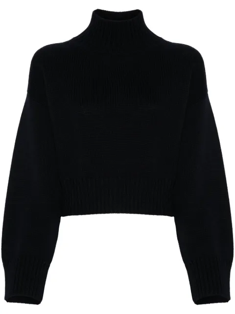 Fabiana Filippi merino-wool sweater