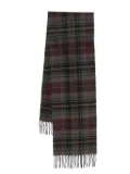 Polo Ralph Lauren plaid scarf - Green