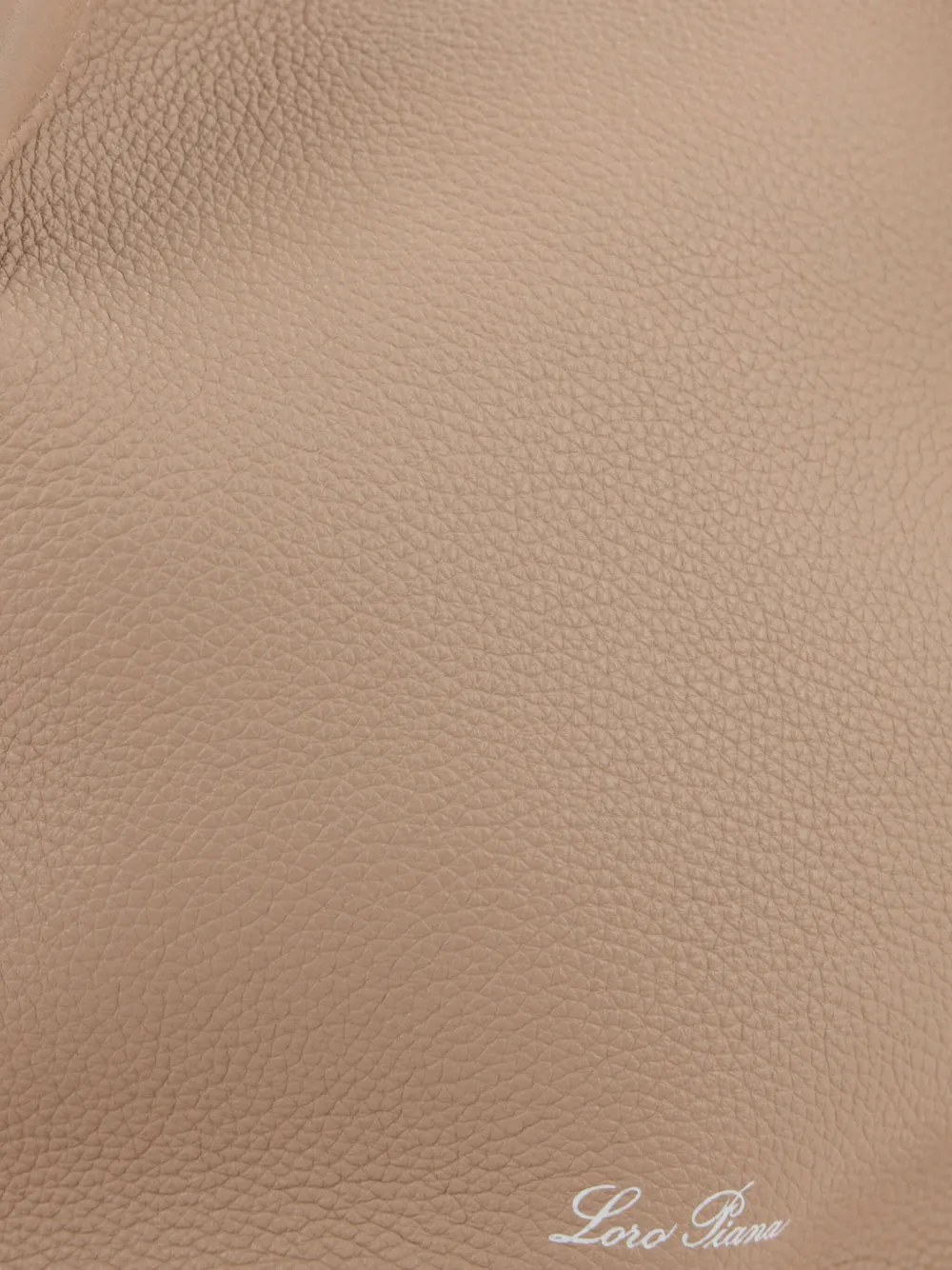 Loro Piana Bale Fine-grain Leather Crossbody Bag In Neutrals