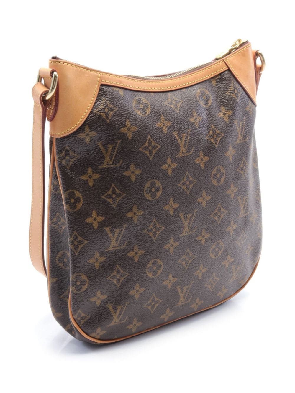 Louis Vuitton Pre-Owned 2009 - Bruin