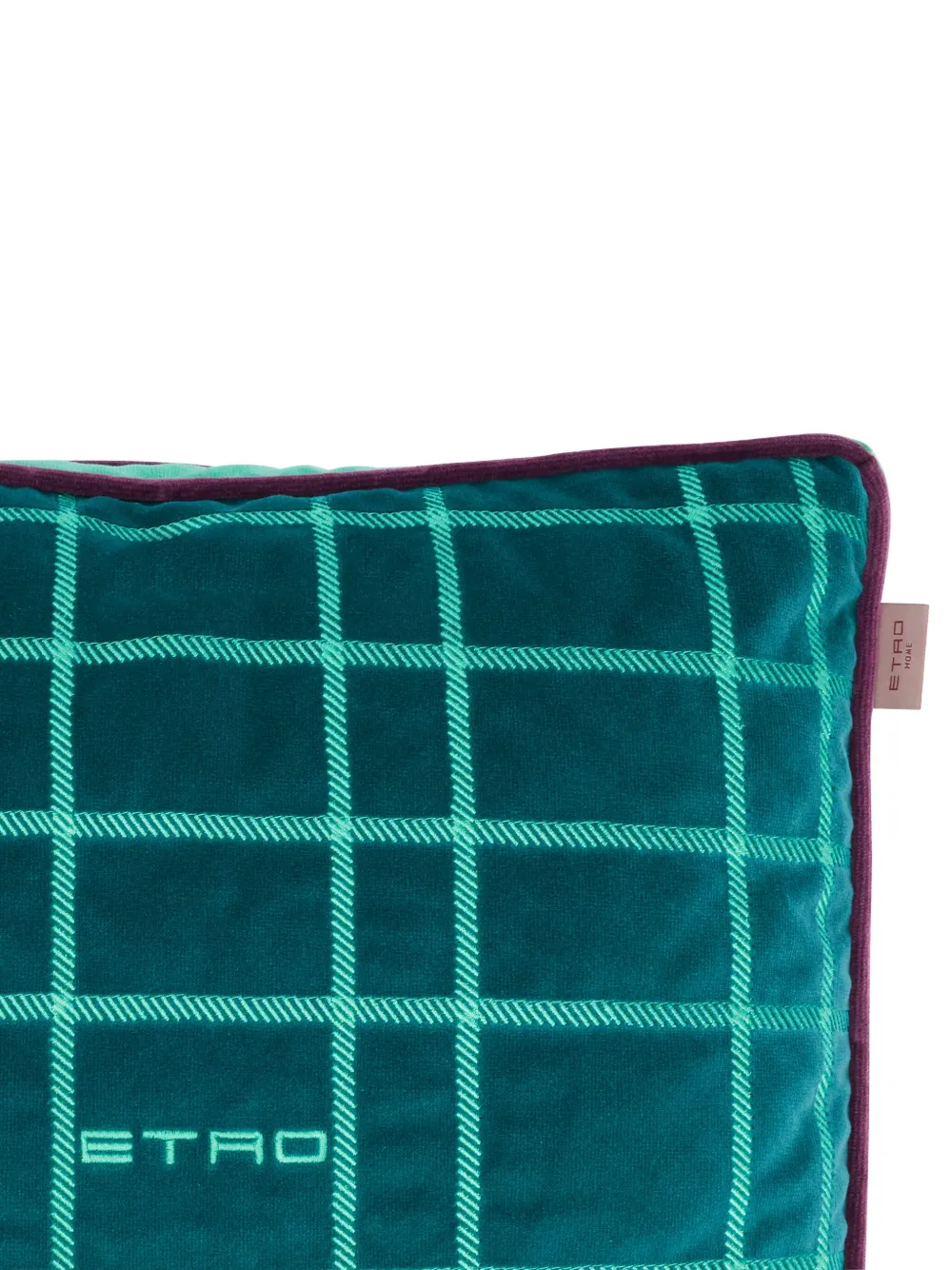 Etro Home Logo Plush-finish Cushion In Green