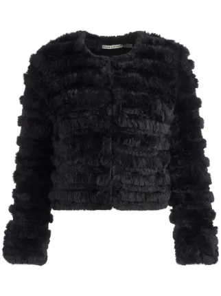 alice + olivia