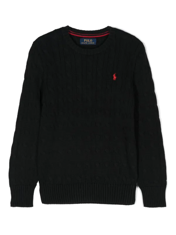 Ralph lauren embroidered sweater best sale