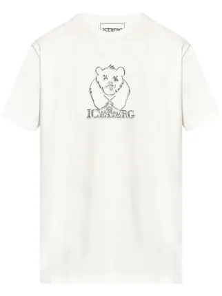 Iceberg