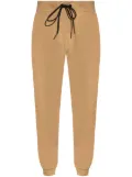Iceberg cotton track pants - Neutrals