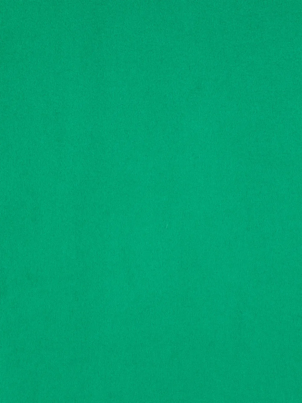 Eric Bompard EB sjaal - Groen