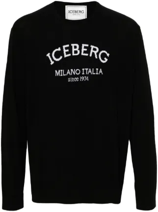 Iceberg