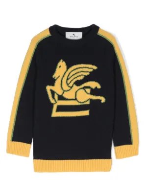 【送料&関税込】Etro Logo Embroidered Crewneck Knitted Jumpe 送料&関税込】Etro Logo Embroidered Crewneck Knitted Jumpe