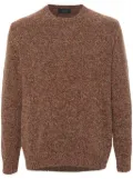 Zanone Geelong wool sweater - Brown