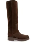 Casadei suede knee-high boots - Brown