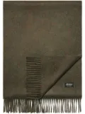 Zegna Oasi cashmere scarf - Green