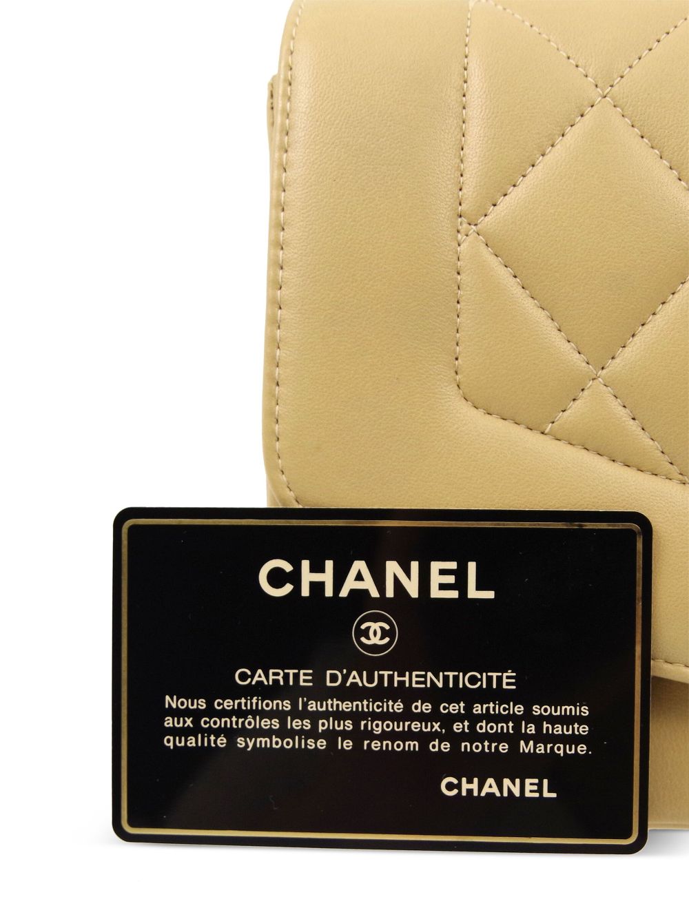 CHANEL 1995 small Diana shoulder bag Women